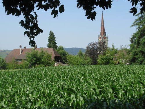 Gemeinschaftshaus Im Oberdorf Lutzelfluh ภายนอก รูปภาพ